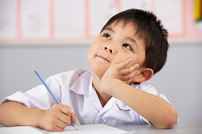 A importância da educação básica
